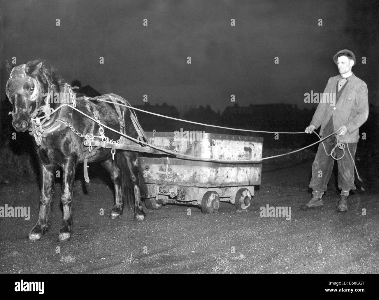 Kelly le Pit Pony est venu de travailler sur la surface après 27 années de service au-dessous du sol à la mine de Hazlerigg Banque D'Images
