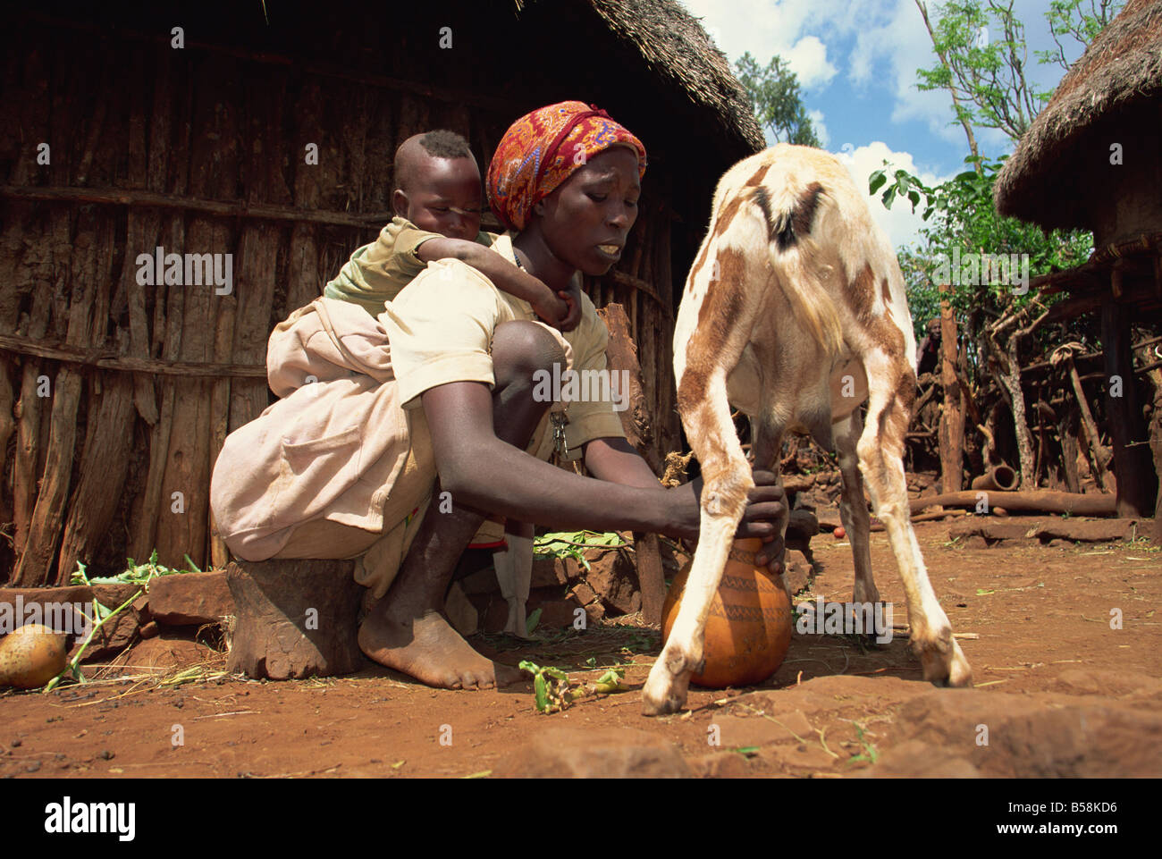 Maman avec bébé au dos de l'Afrique Ethiopie Harar chèvre à traire Banque D'Images