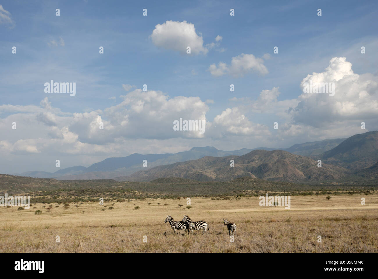 Le Parc National de Nechisar, Ethiopie, Afrique Banque D'Images