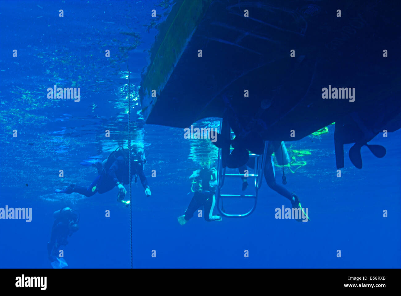 La recherche de plongeurs sous l'eau de surface à l'approche de l'échelle de bateau de plongée Banque D'Images