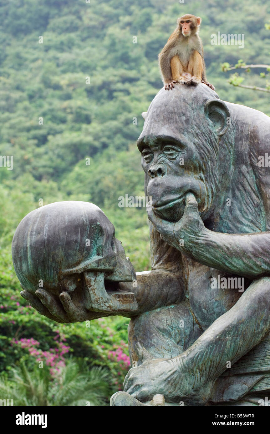 Monkey Island Research Park, la province de Hainan, Chine Banque D'Images