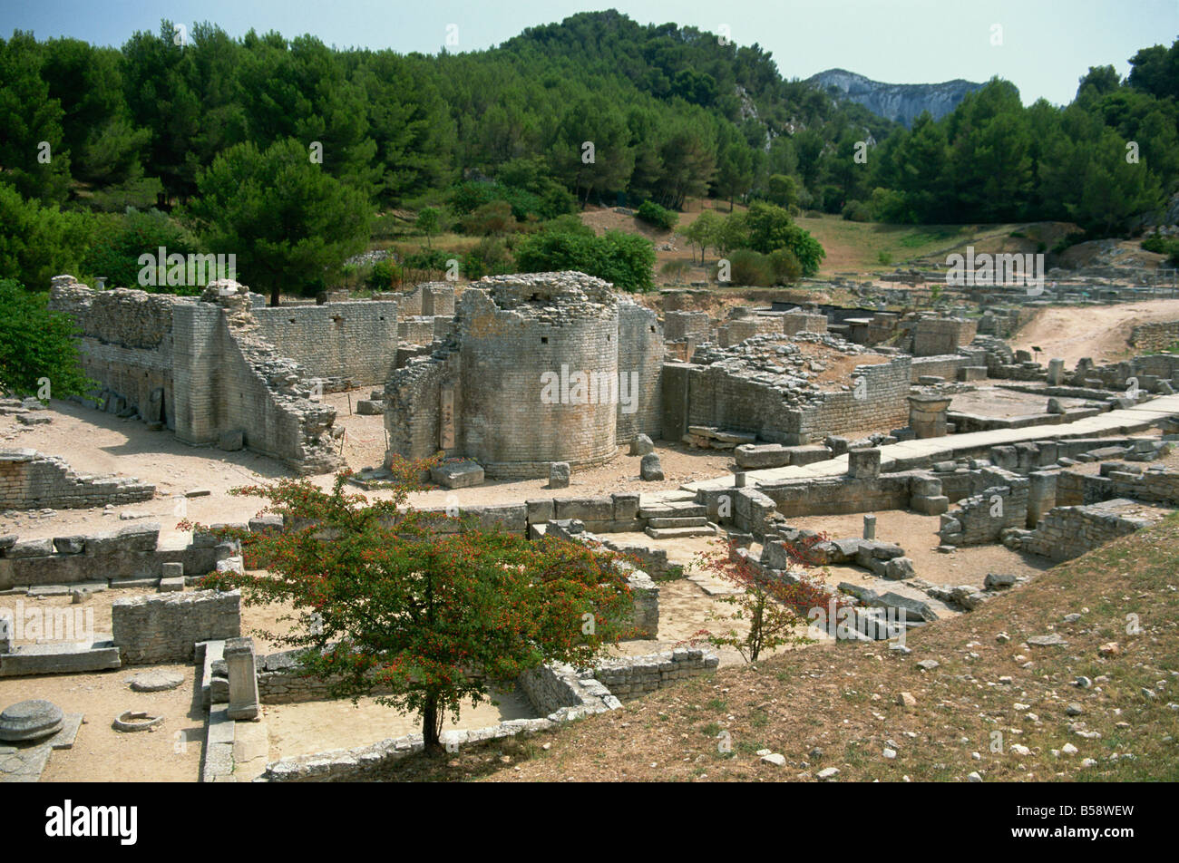 Les vestiges de la ville romaine de Glanum, les Antiques, les Alpilles, St Rémy-de-Provence, Bouches du Rhône, Provence, France Banque D'Images