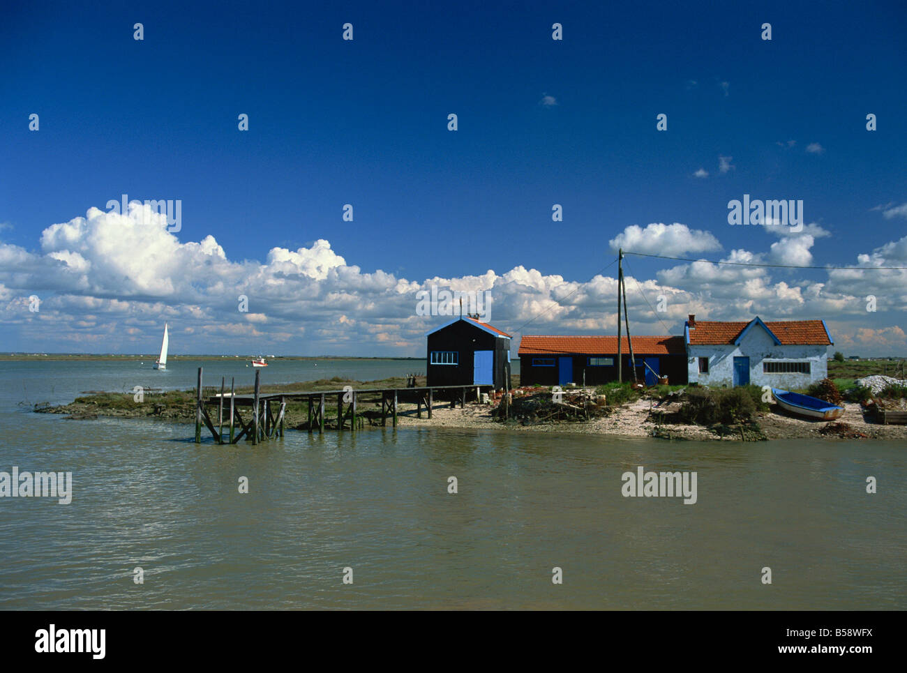 Le Tregarde rivière Seudre Charente Maritime Poitou Charentes France Europe Banque D'Images