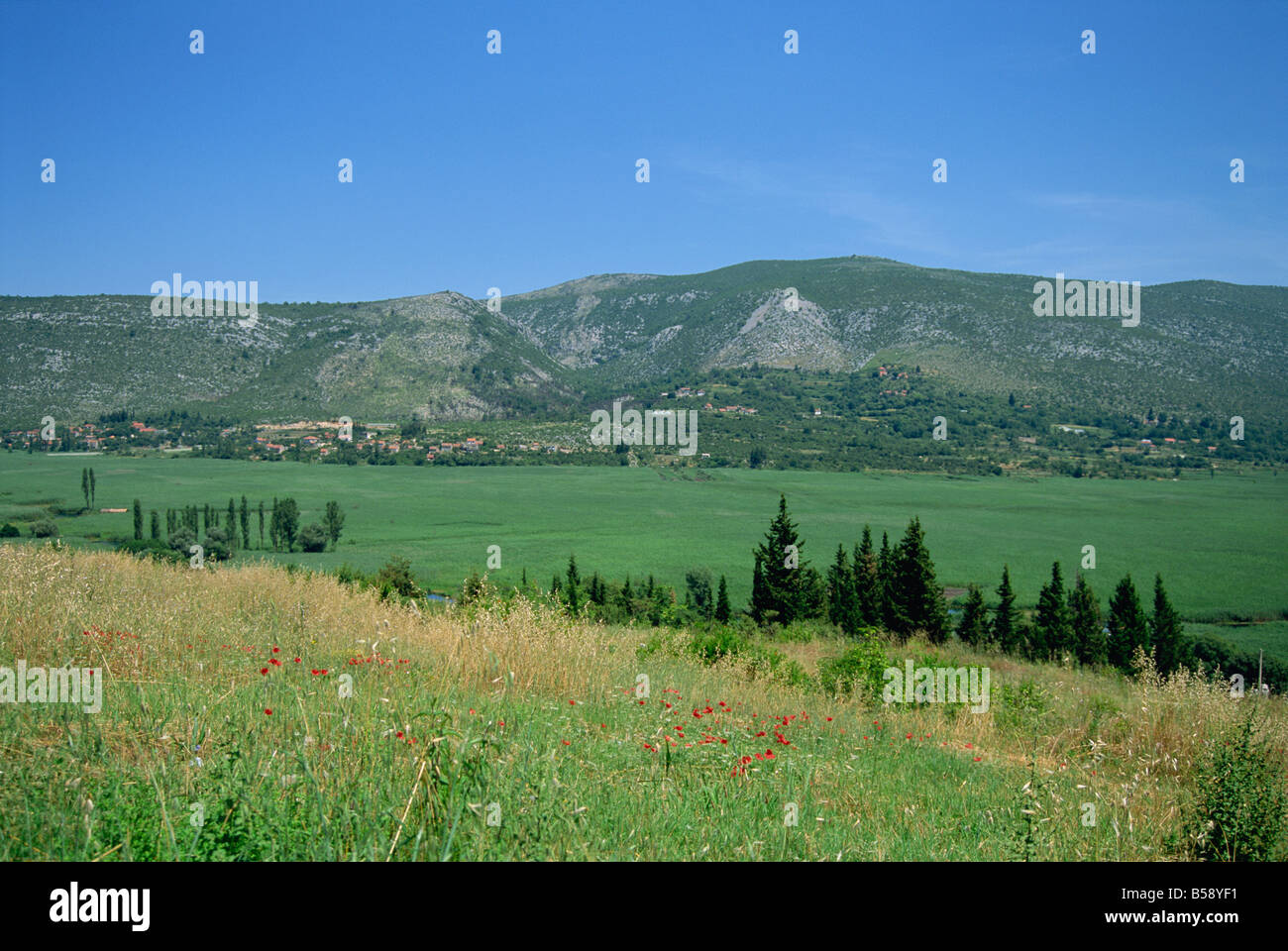 La vallée de Neretva Croatie Europe Delta Banque D'Images