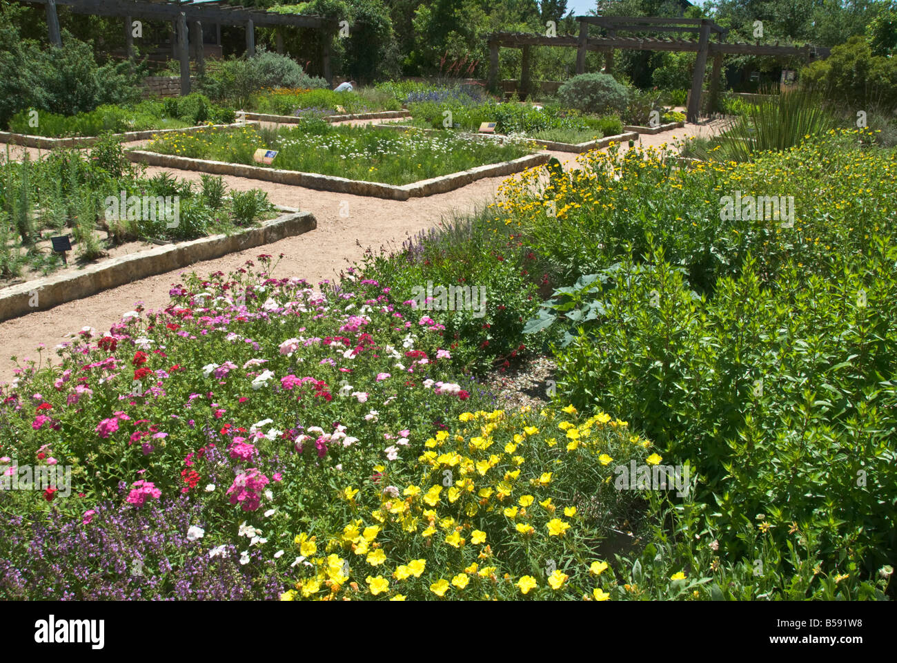 Austin Texas Hill Country Lady Bird Johnson Wildflower Center jardins à thèmes Banque D'Images