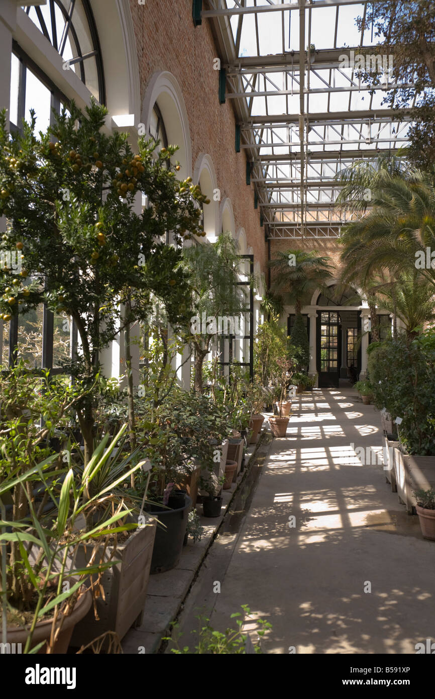 À l'orangerie du manoir Le Jardin Botanique Kruidtuin Louvain. Leuven, Belgique (42) Banque D'Images