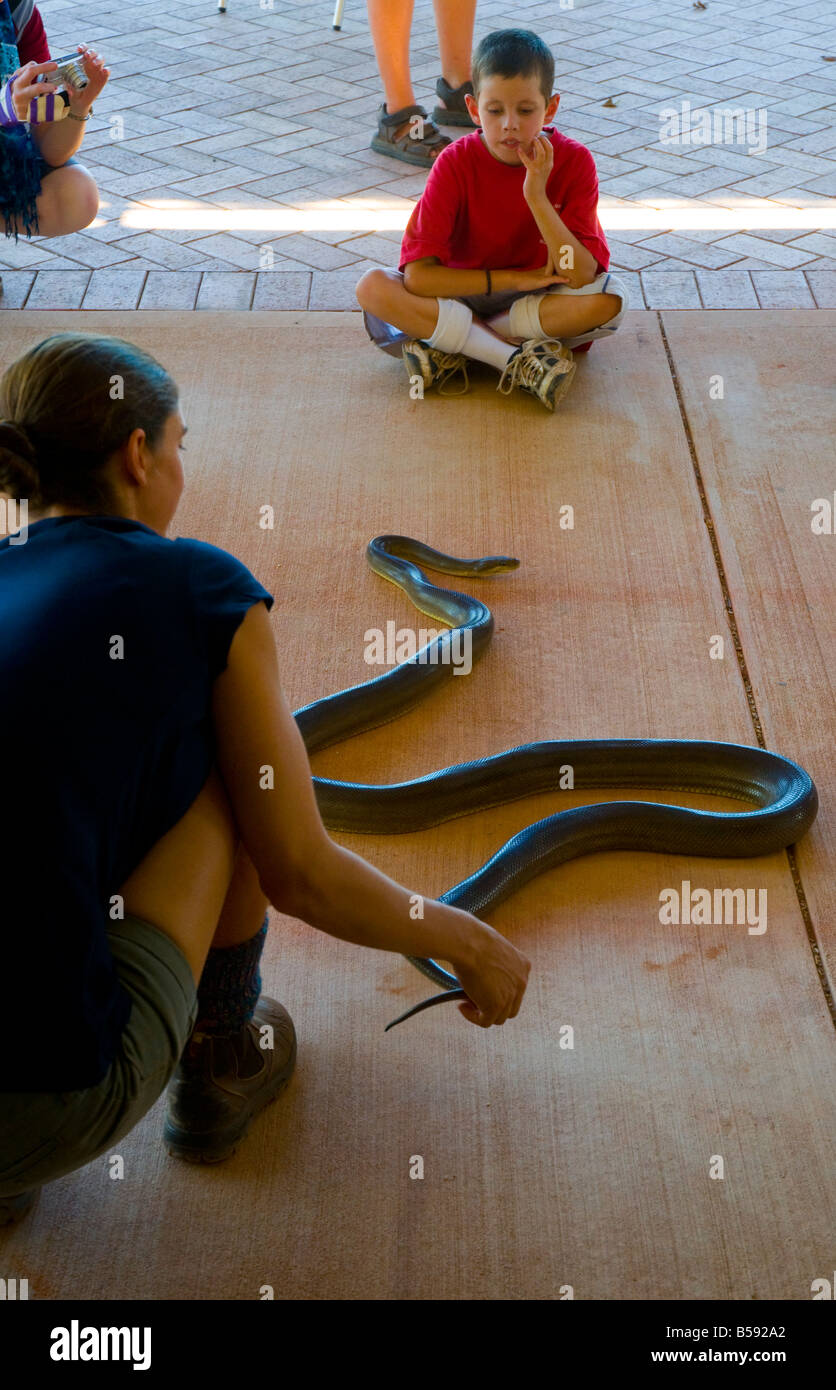 Un ranger de la faune à la Malcolm Douglas Wildlife Park près de Broome montre un python pour les enfants d'olive Banque D'Images