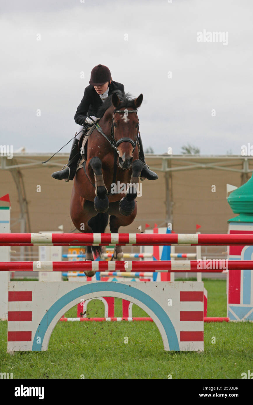 Cavalier équestres pris dans le milieu de sauter avec l'herbe et des clôtures blanches dans l'arrière-plan Banque D'Images