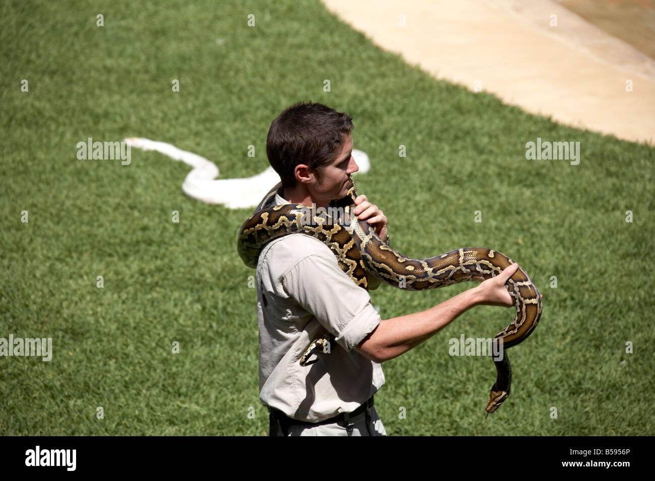 Keeper avec des serpents à Présentation du salon manifestation à Zoo de l'Australie et la faune Wild Animal Park Queensland QLD Australie Banque D'Images