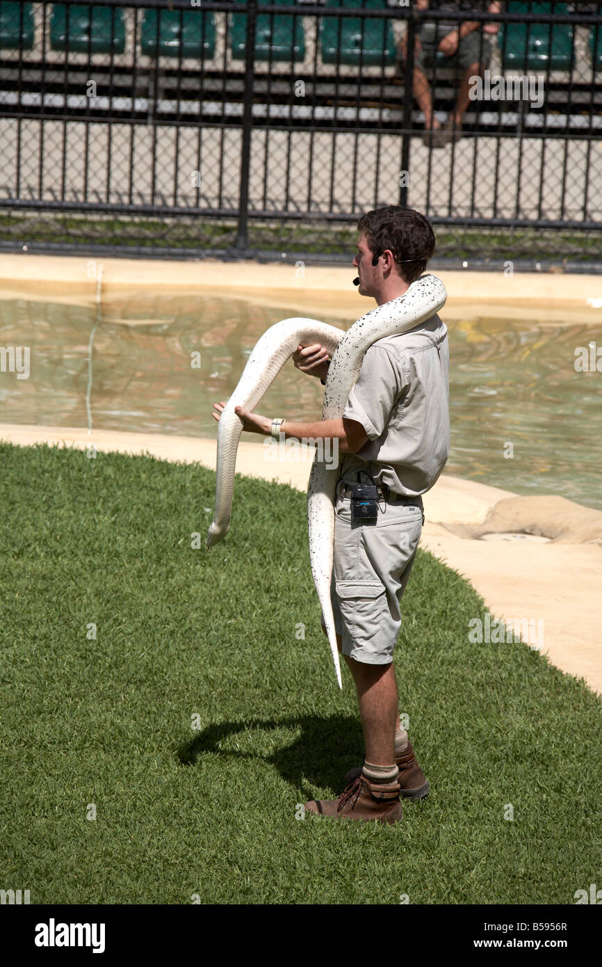 Keeper avec des serpents à Présentation du salon manifestation à Zoo de l'Australie et la faune Wild Animal Park Queensland QLD Australie Banque D'Images