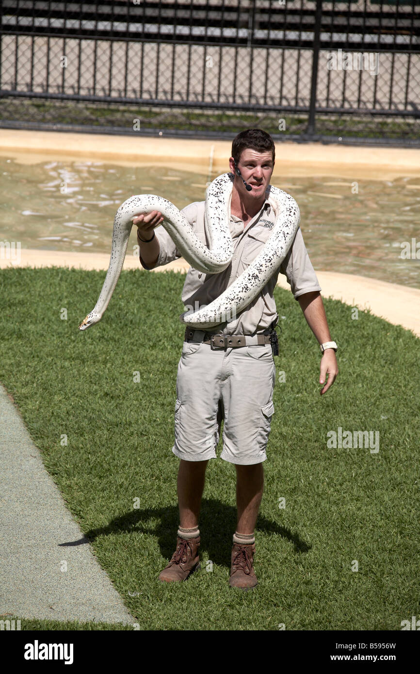 Keeper avec des serpents à Présentation du salon manifestation à Zoo de l'Australie et la faune Wild Animal Park Queensland QLD Australie Banque D'Images