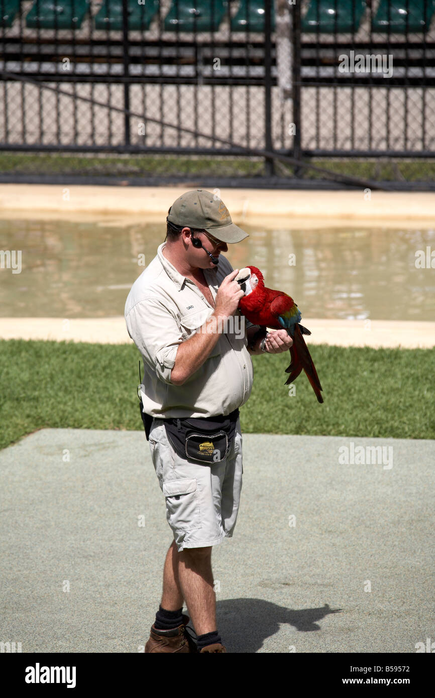 Keeper avec parrrot démonstration présentation spectacle d'oiseaux de la faune Zoo de l'Australie et Wild Animal Park Queensland QLD Australie Banque D'Images