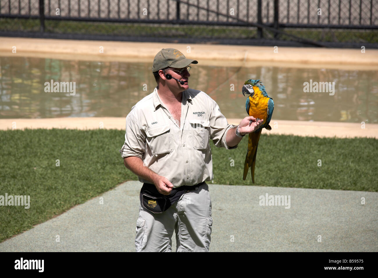 Keeper avec parrrot démonstration présentation spectacle d'oiseaux de la faune Zoo de l'Australie et Wild Animal Park Queensland QLD Australie Banque D'Images