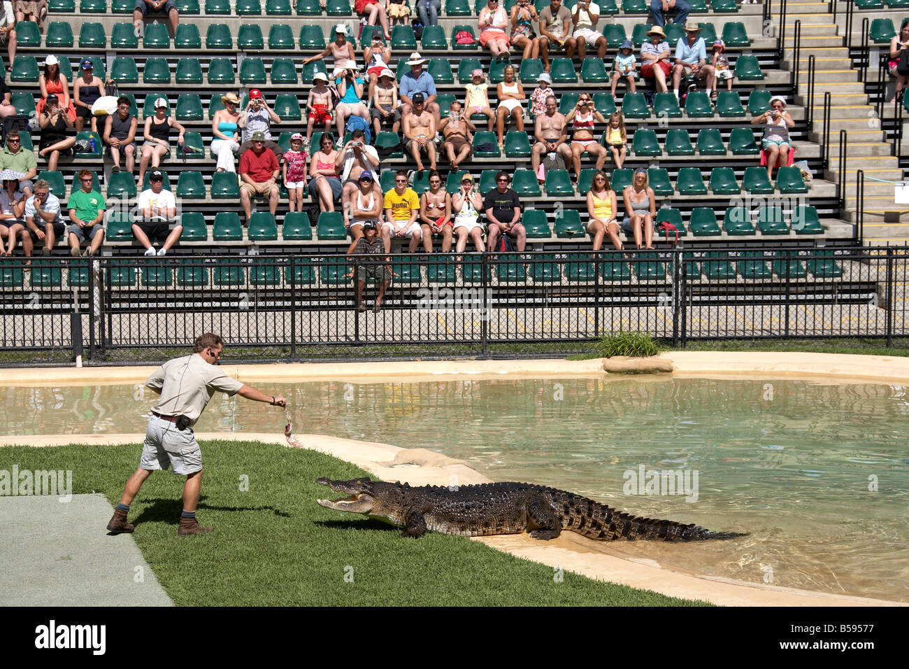 Keeper crocodile alimentation présentation du Zoo de l'Australie de démonstration de la faune et du Wild Animal Park Queensland QLD Australie Banque D'Images