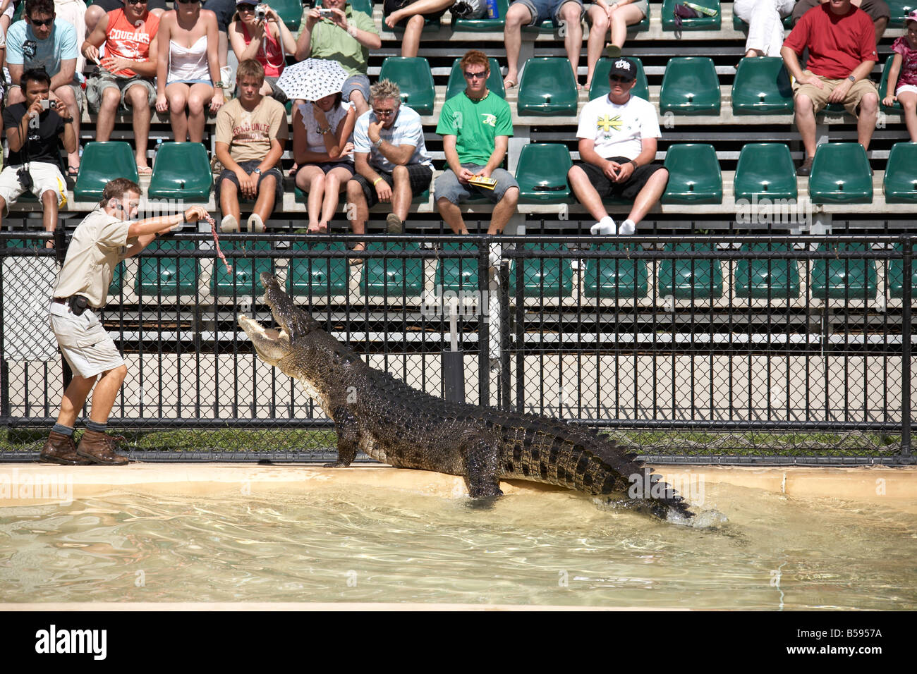 Keeper crocodile alimentation Présentation du salon manifestation à Zoo de l'Australie et la faune Wild Animal Park Queensland QLD Australie Banque D'Images