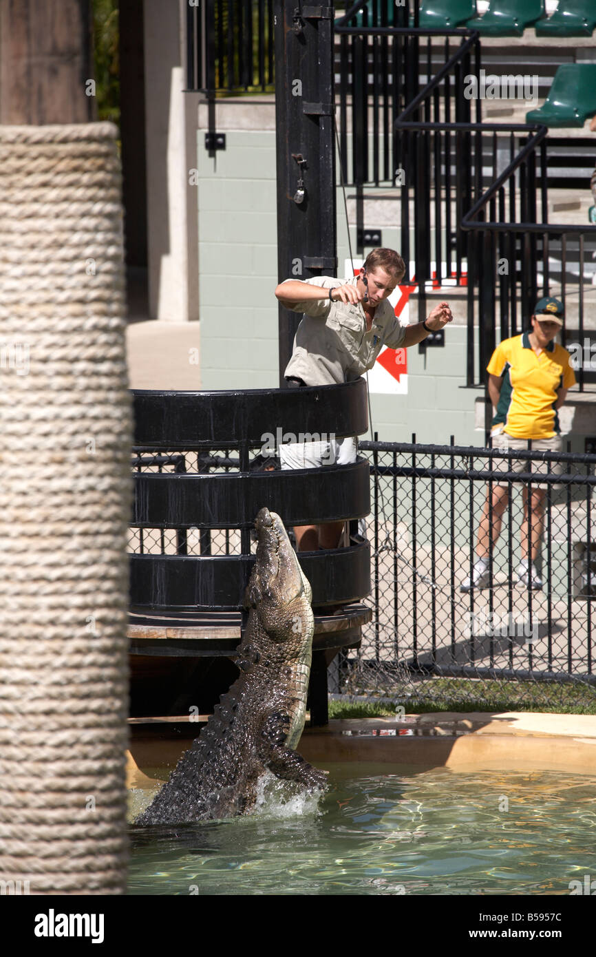 Keeper crocodile alimentation Présentation du salon manifestation à Zoo de l'Australie et la faune Wild Animal Park Queensland QLD Australie Banque D'Images