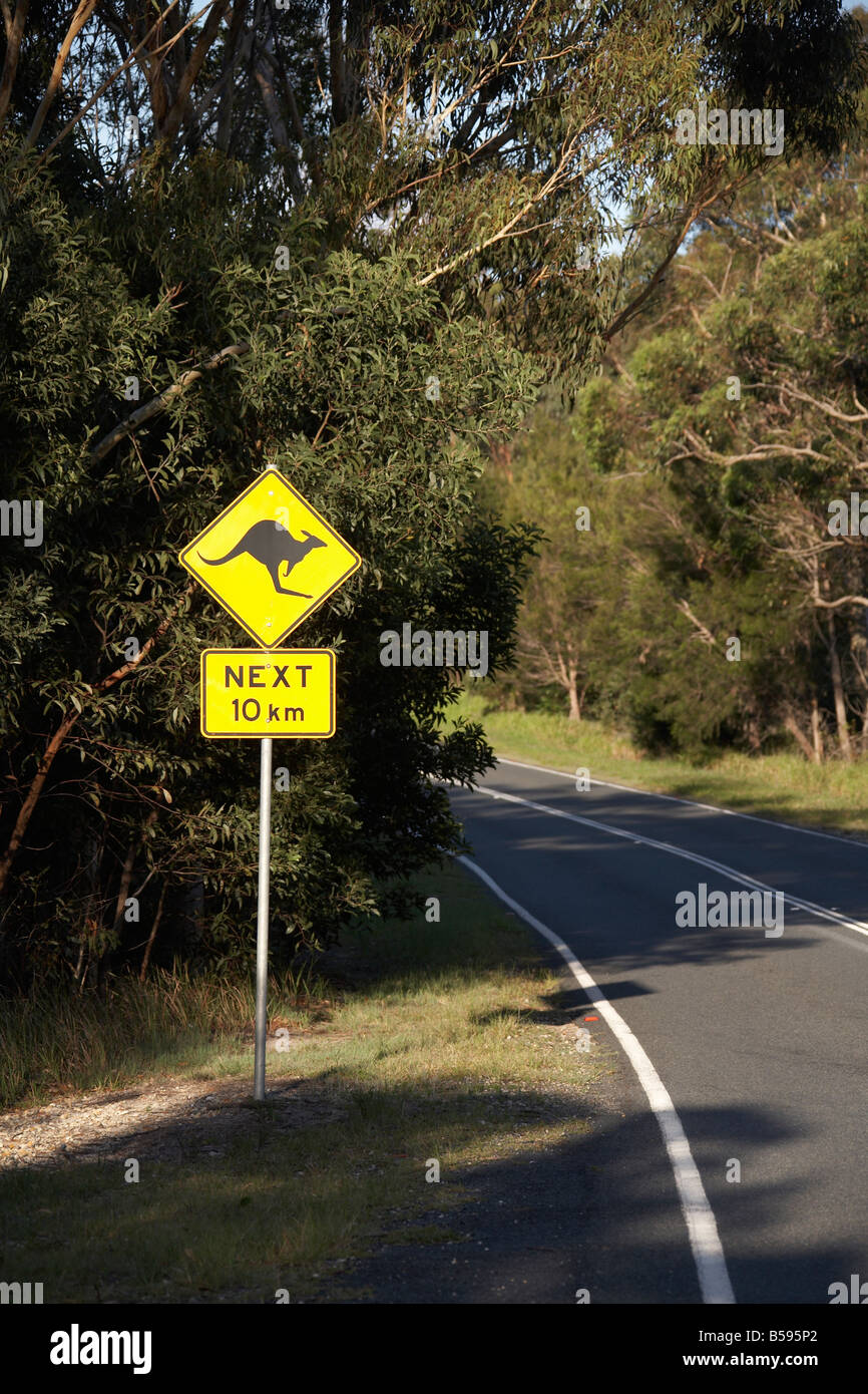 Avertissement de danger kangourou en regard de l'accident sur la route North Stradbroke Island Queensland QLD Australie Banque D'Images