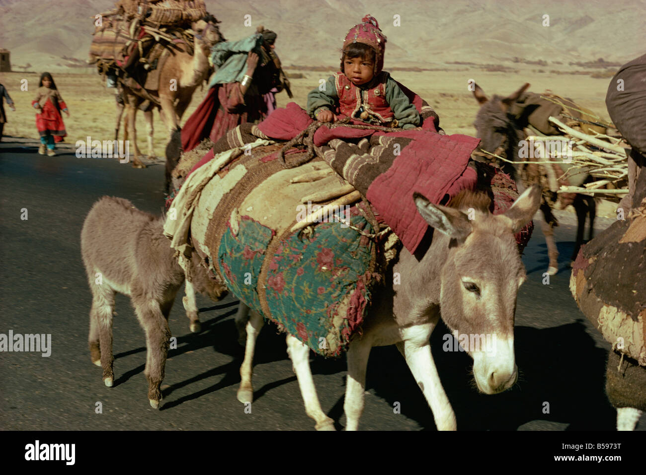 Nomades Kuchi Asie Afghanistan Banque D'Images