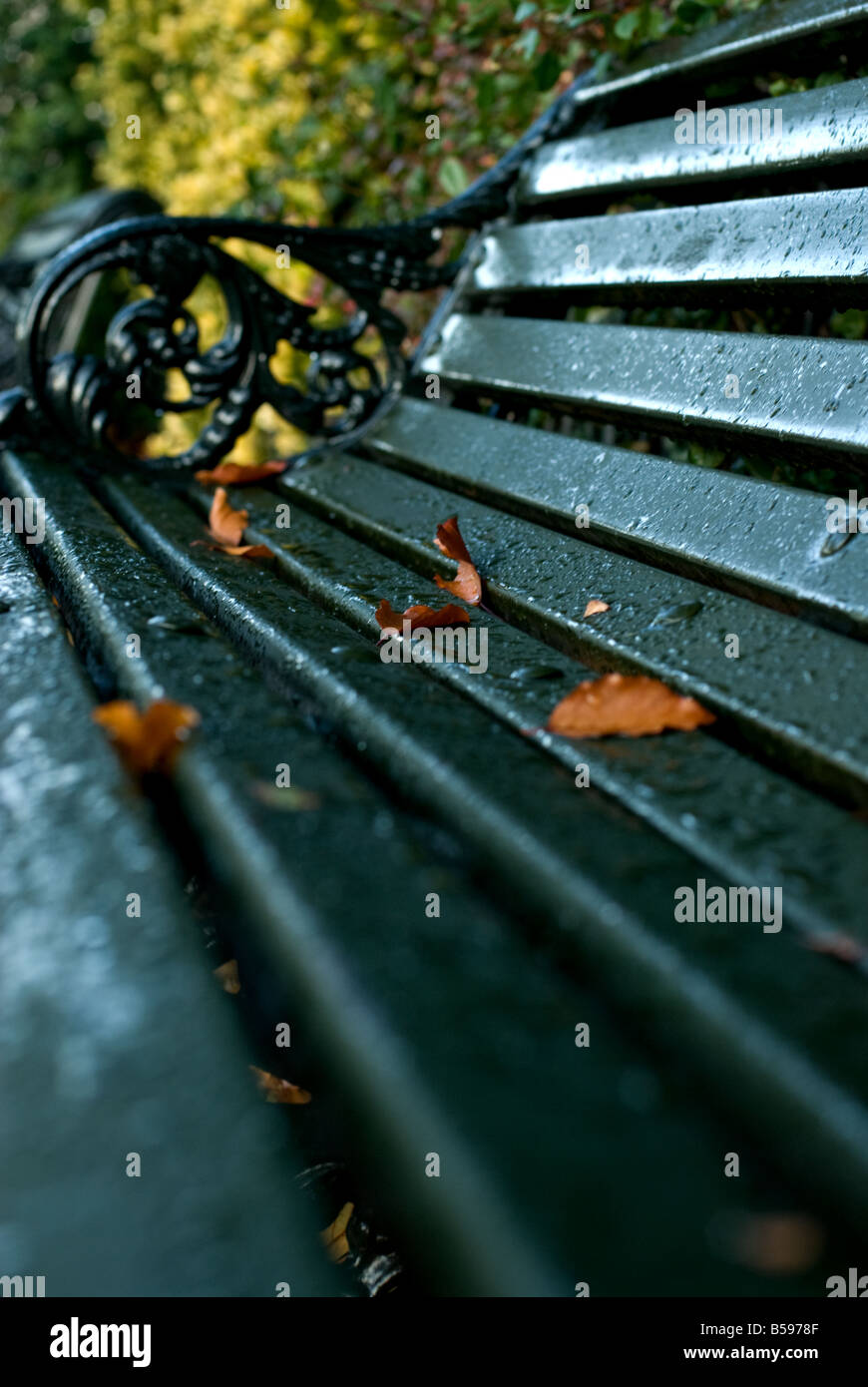Feuilles éparpillés sur un banc de parc, Greenwich, Londres Banque D'Images