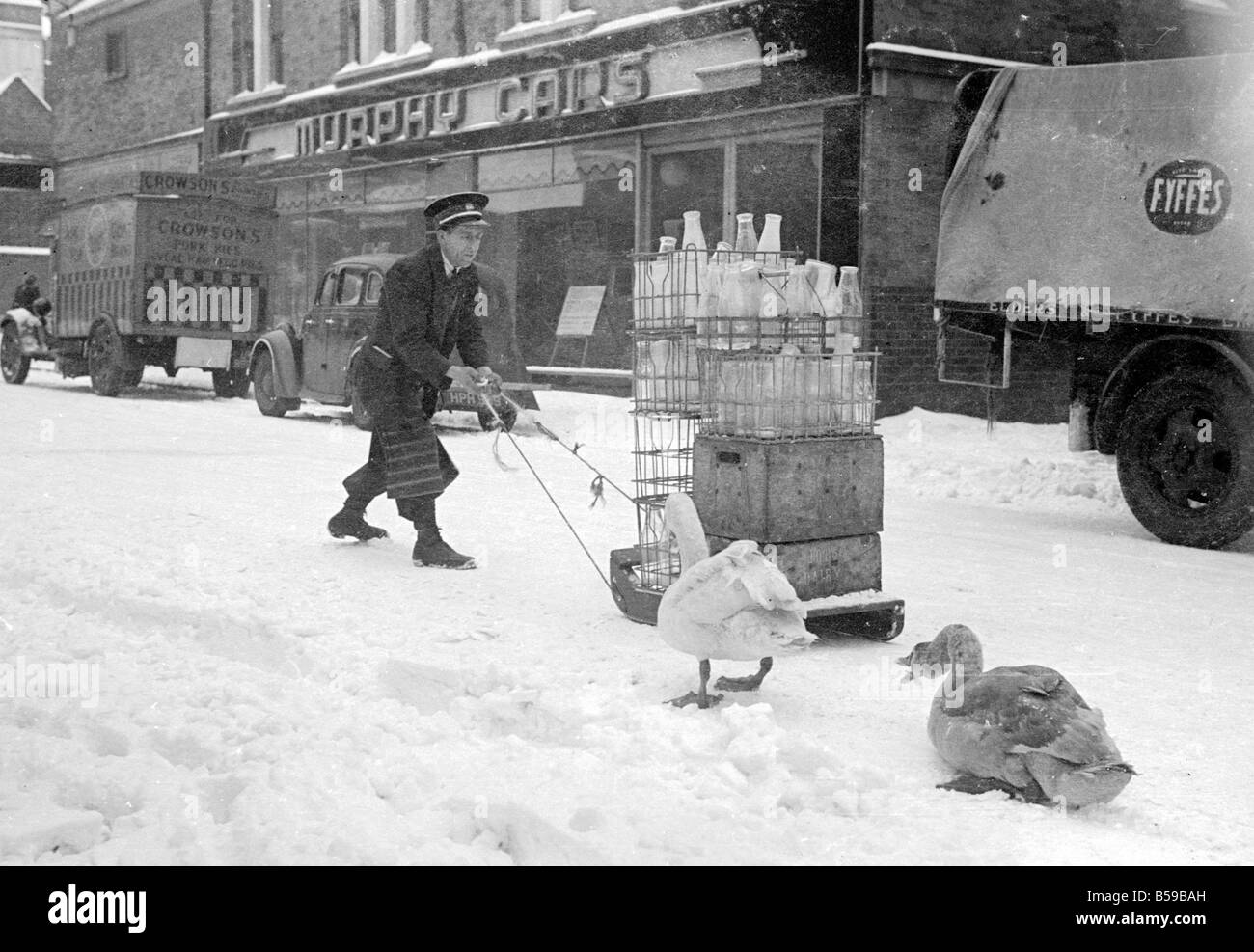 La lourde chute de neige du jour au lendemain voit le laitier offrant son lait en traîneau, comme deux cygnes regardez sur avec amusement. Janv. 1940 Banque D'Images