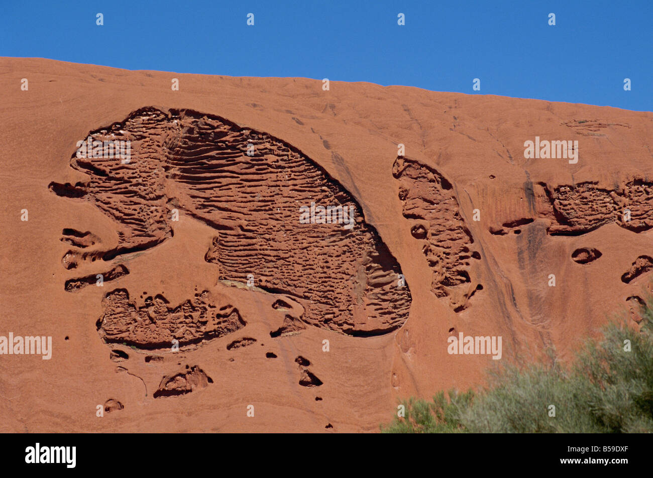 Modèle d'érosion Uluru Ayers Rock Site du patrimoine mondial de l'Australie Territoire du Nord Banque D'Images