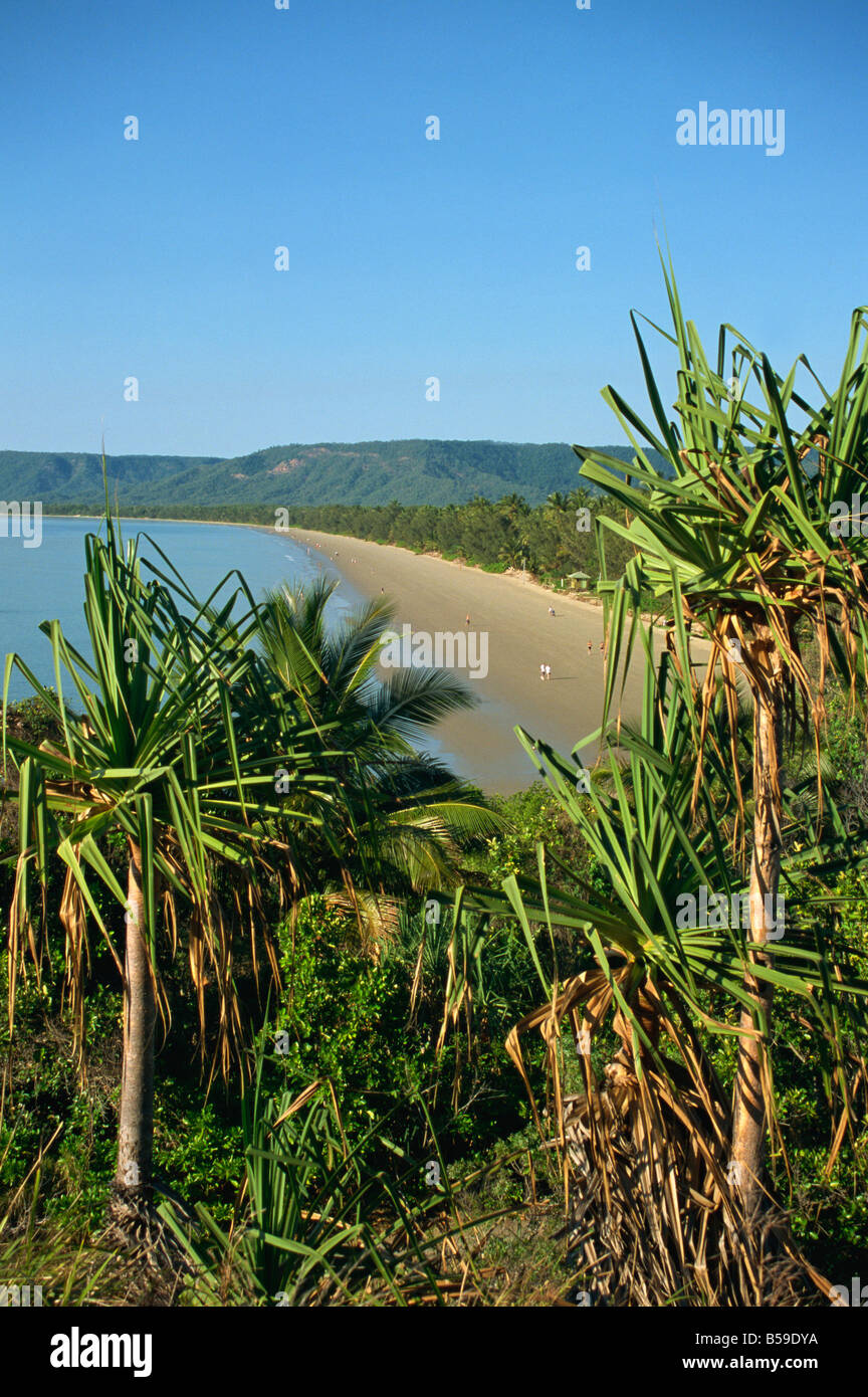 Four Mile Beach Port Douglas Queensland Australie Pacifique Banque D'Images