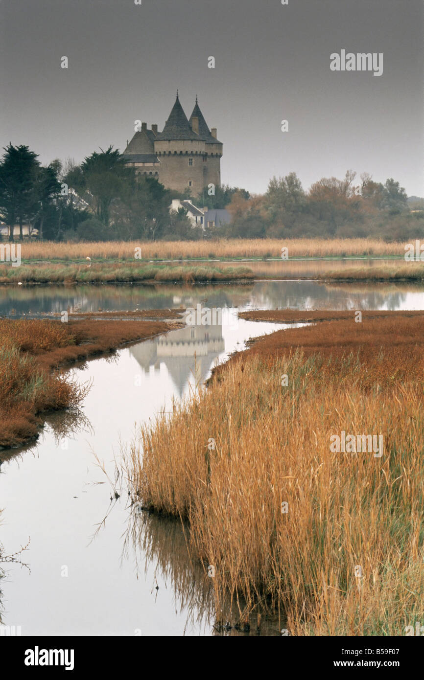 Château et les marais de Suscinio, Morbihan, Bretagne, France, Europe Banque D'Images