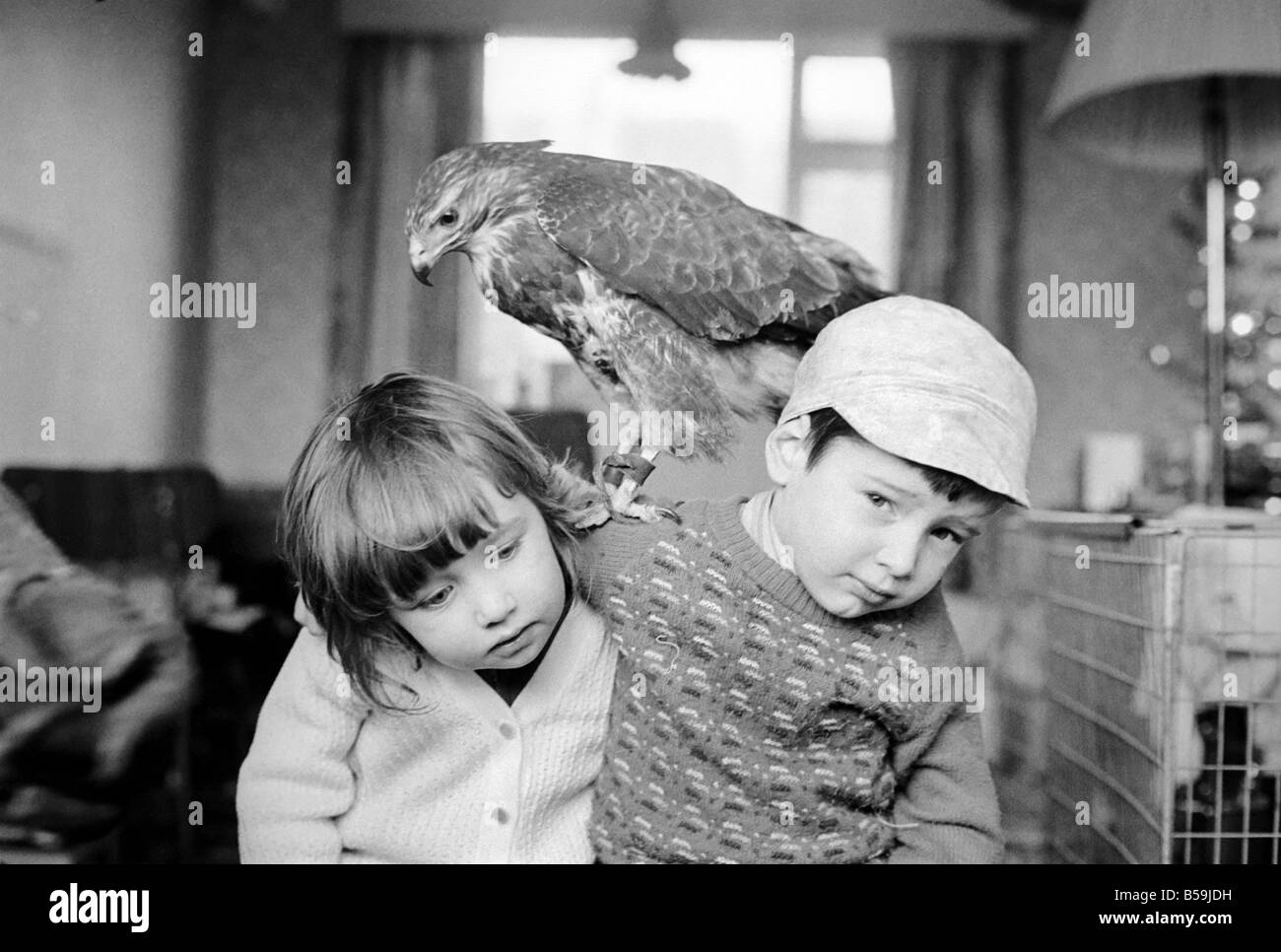 Animal/pet/inhabituelle. Les enfants avec Buzzard. Décembre 1970 71-00012-001 Banque D'Images