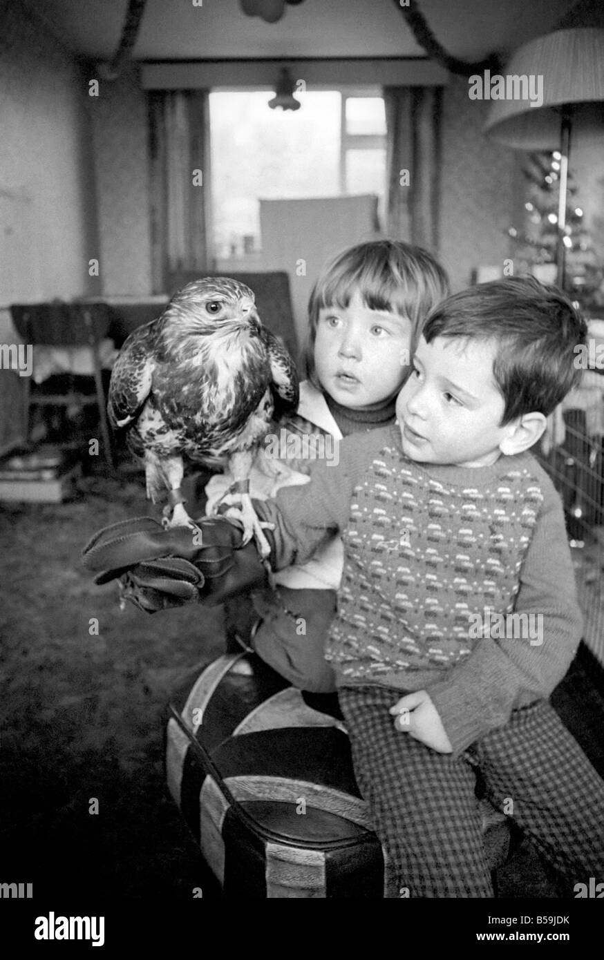 Animal/pet/inhabituelle. Les enfants avec Buzzard. Décembre 1970 71-00012-002 Banque D'Images