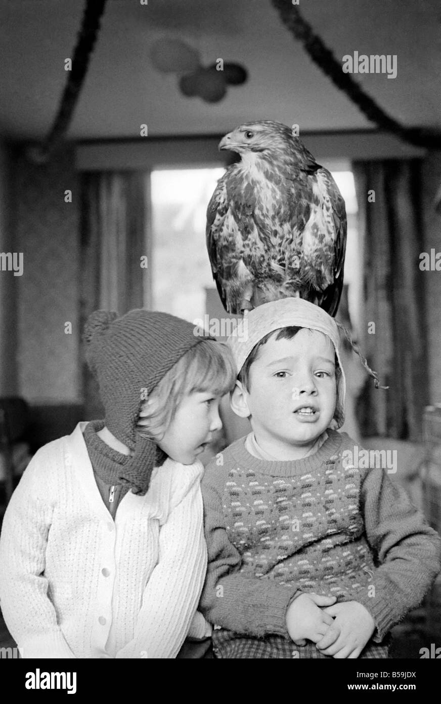 Animal/pet/inhabituelle. Les enfants avec Buzzard. Décembre 1970 71-00012-004 Banque D'Images