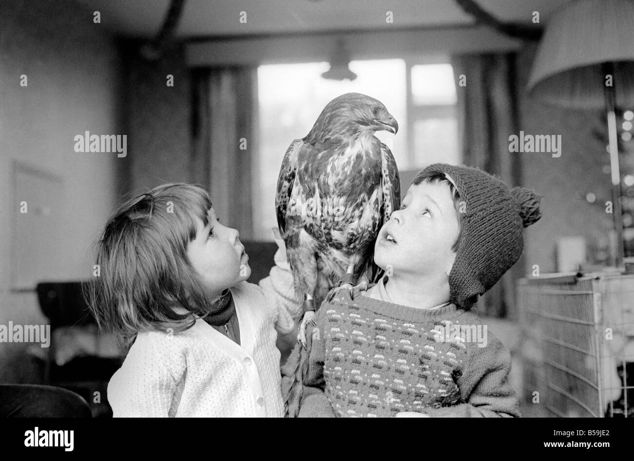 Animal/pet/inhabituelle. Les enfants avec Buzzard. Décembre 1970 71-00012-005 Banque D'Images
