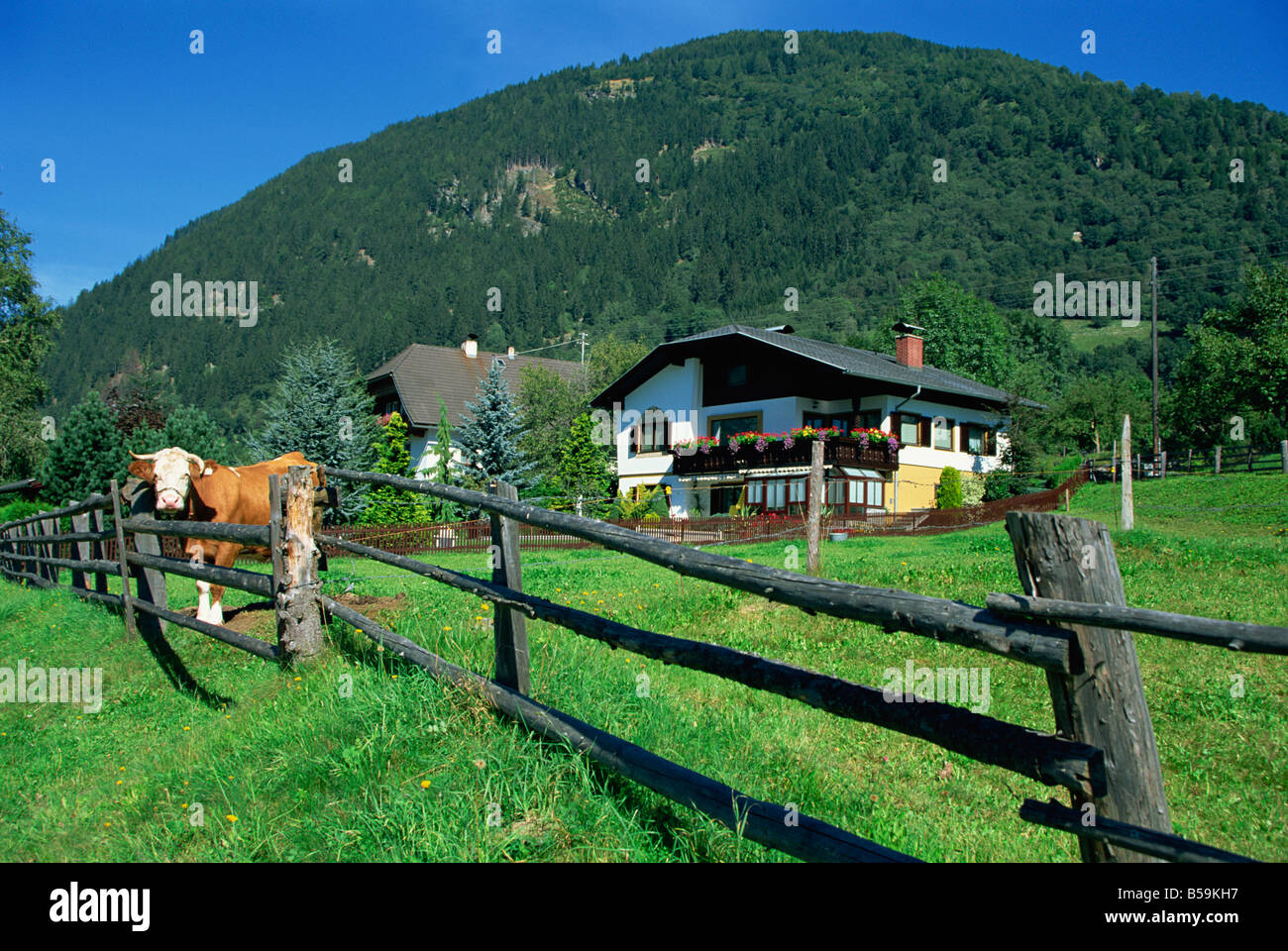 Chalet Vallée de vache et Malte Autriche J Brooks Banque D'Images