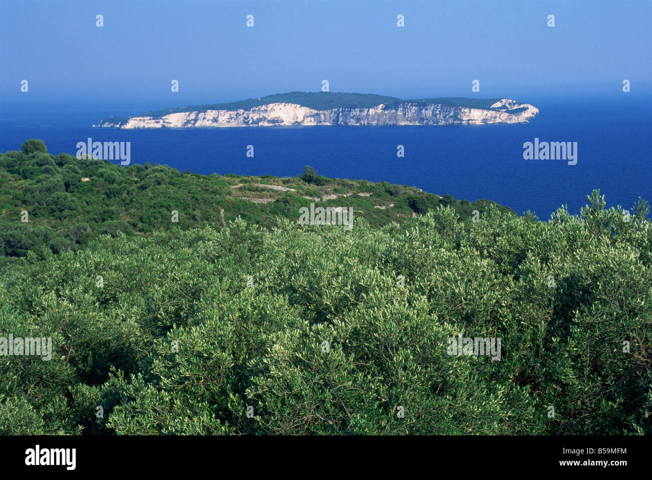Les oliveraies et l'île d'Anti-Paxos vu de Paxos, îles grecques, Grèce, Europe Banque D'Images