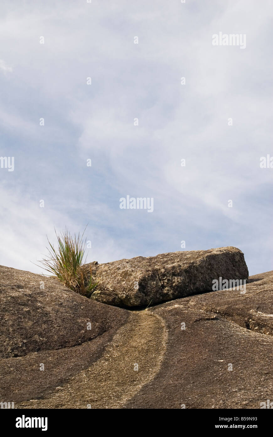 Hardy résistantes au sel, recherche d'un lieu à l'herbe de croître parmi les rochers de granit à verts Piscine Beach, Australie occidentale Banque D'Images
