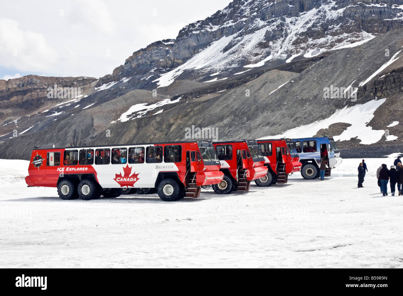 Les véhicules garés avec visiteurs sur le Columbia Icefield glacier à l'Icefield Centre dans le Parc National Jasper Alberta Canada Banque D'Images