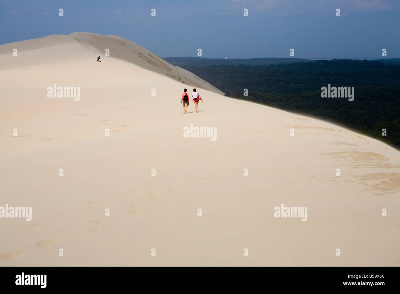 Dunes de sable les plus hautes Banque de photographies et d’images à — free download