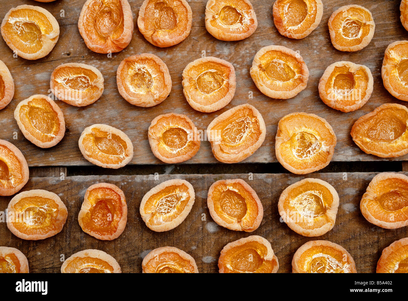 Les abricots coupés en deux 'nautrally' séchées au soleil. Banque D'Images