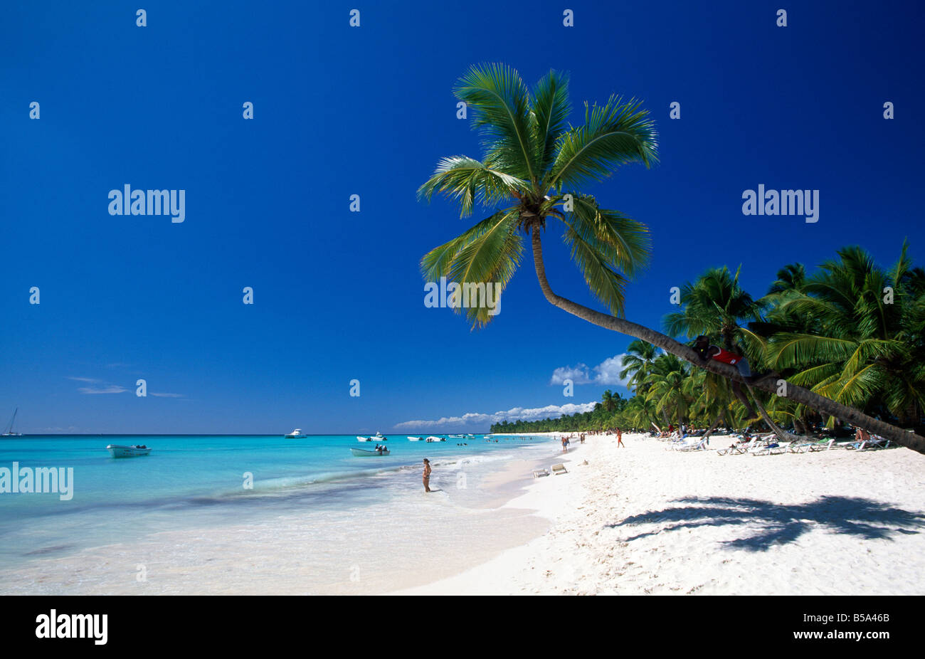Plage sur l'île de Saona Parque Nacional del Este République dominicaine caraïbes Banque D'Images