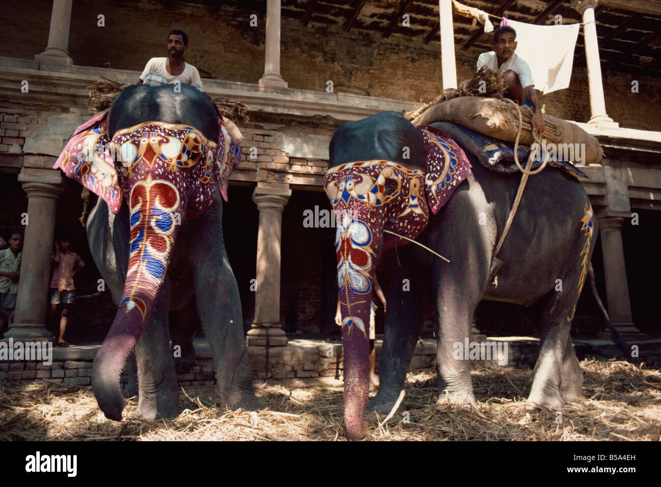 Le Maharajah s éléphants Varanasi Uttar Pradesh Inde Asie Banque D'Images