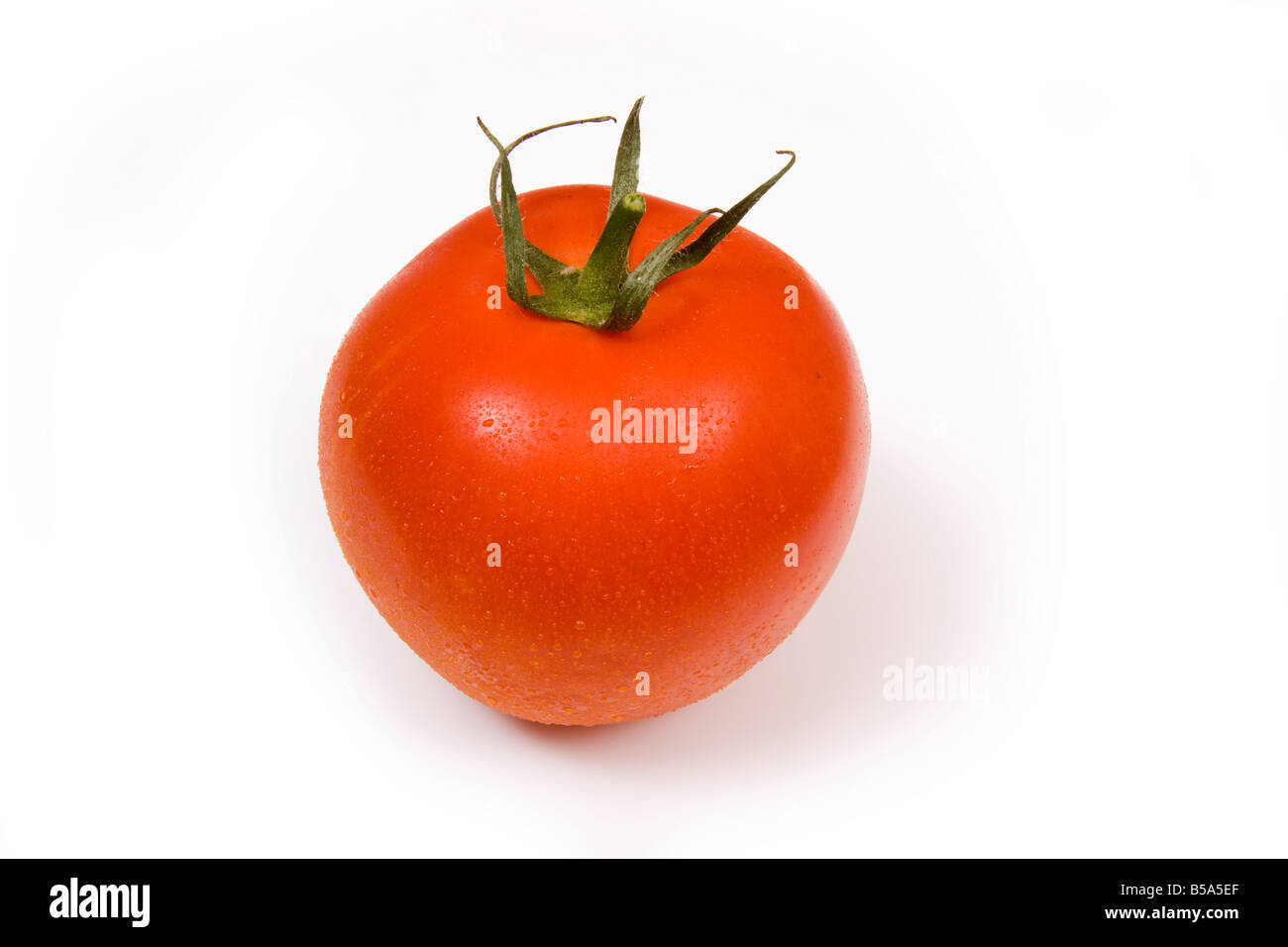 Tomate rouge isolé sur fond blanc un studio. Banque D'Images