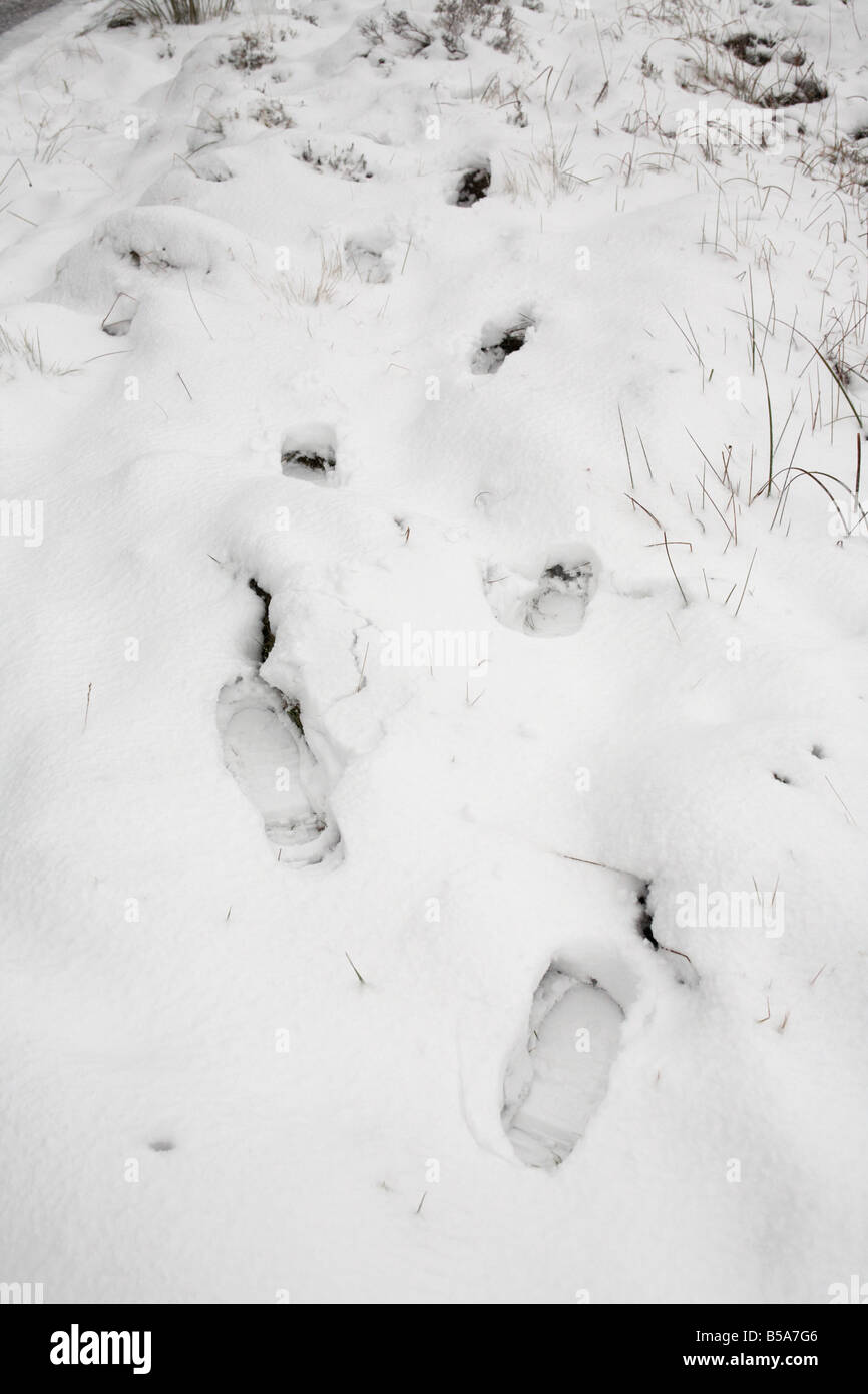 Des empreintes de pas dans un banc de neige dans le comté d'Antrim en Irlande du Nord uk Banque D'Images