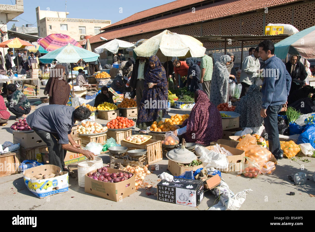 Matin, marché de fruits et légumes de Bandar Abbas le sud de l'Iran Moyen-orient Banque D'Images