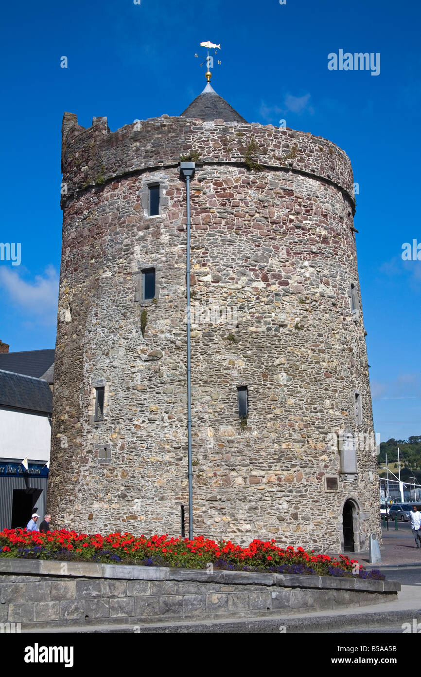 Reginald's Tower, Waterford City, comté de Waterford, Munster, République d'Irlande, Europe Banque D'Images