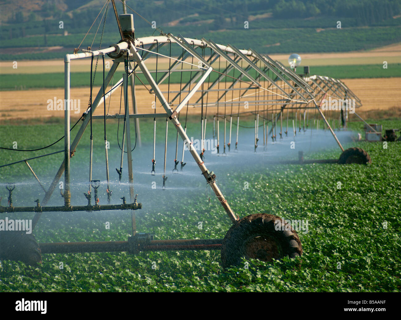 Système d'irrigation automatisé, Galilée, Israël, Moyen Orient Banque D'Images
