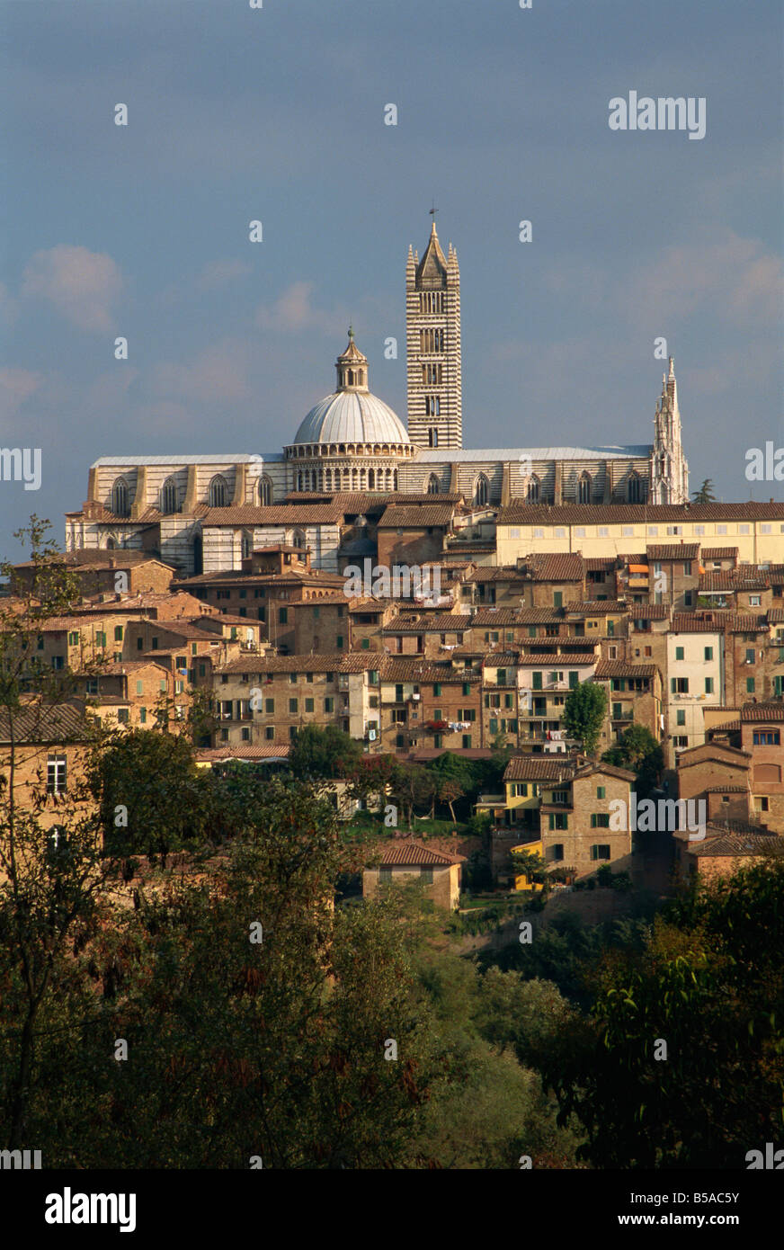 Les toits de Sienne Toscane Italie R Rainford Banque D'Images