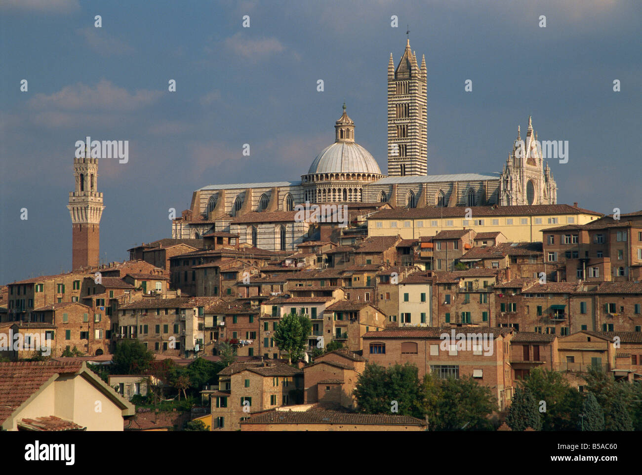 Les toits de Sienne en Toscane Italie R Rainford Banque D'Images