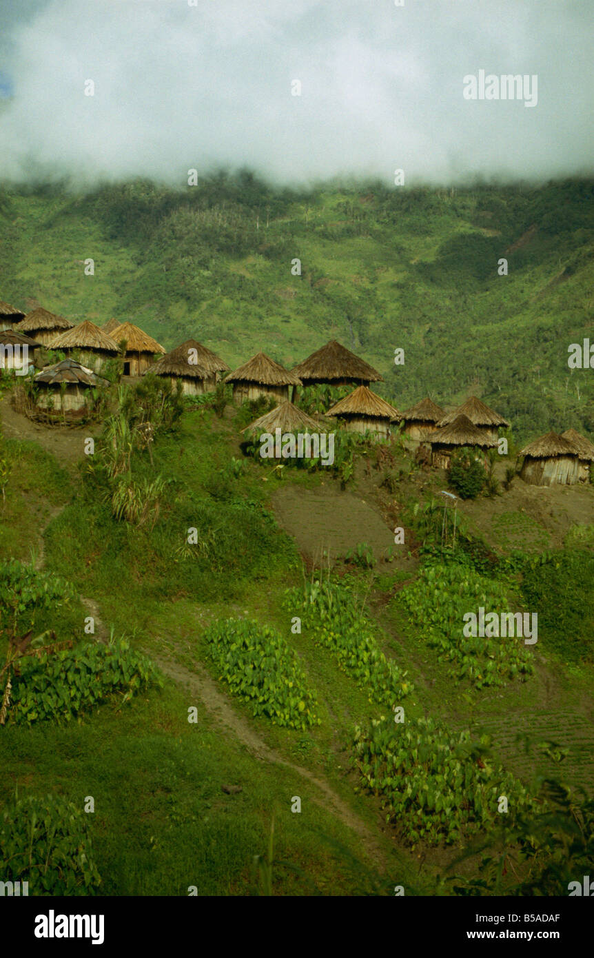 Village Yali Irian Jaya Indonésie Asie Asie du sud-est Banque D'Images