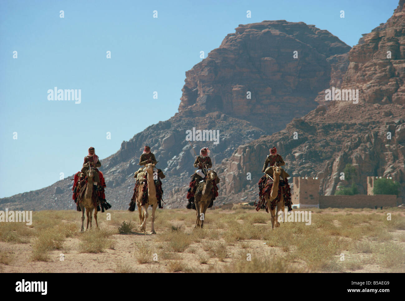 Patrouille dans le désert sur des chameaux, Wadi Rum, Jordanie, Moyen-Orient Banque D'Images