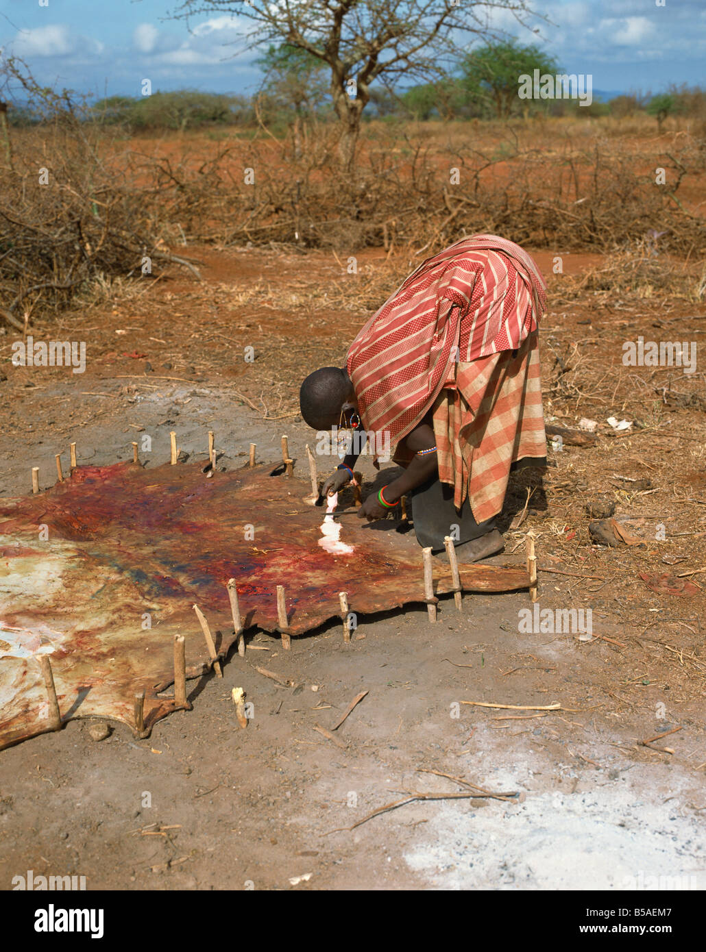 Femme massaï travaillant sur la peau d'animaux Kenya Afrique Afrique de l'Est Banque D'Images