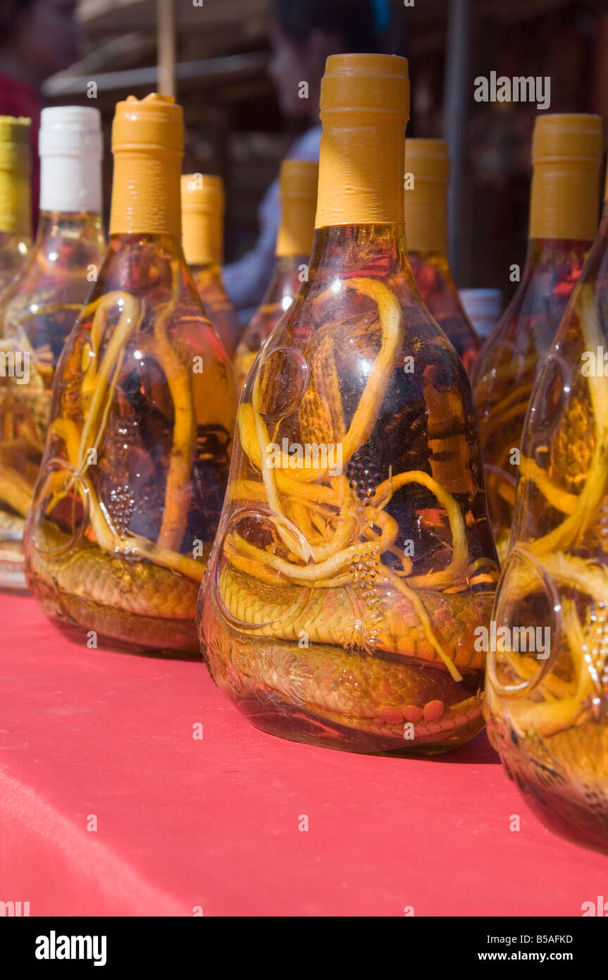 Les serpents en bouteilles de spiritueux ont des propriétés médicinales, Laos, Indochine, Asie du sud-est Banque D'Images